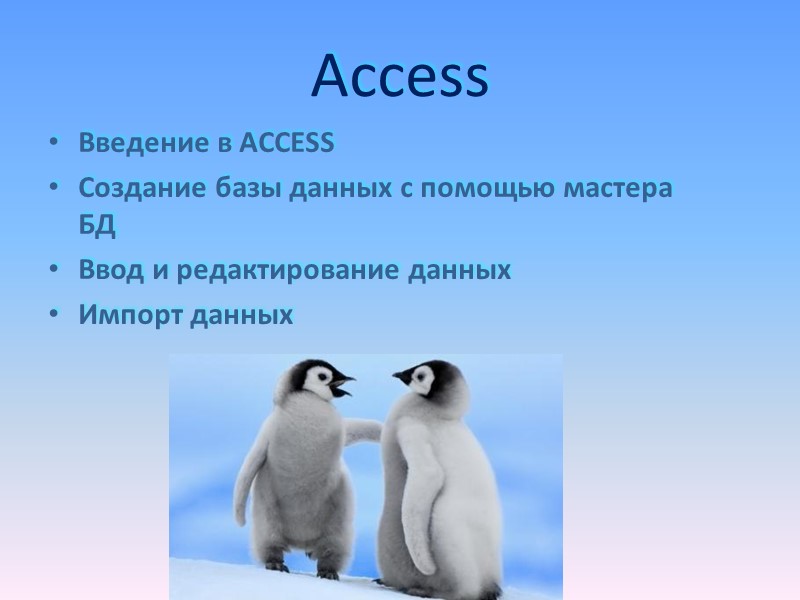 Access Введение в ACCESS Создание базы данных с помощью мастера БД Ввод и редактирование